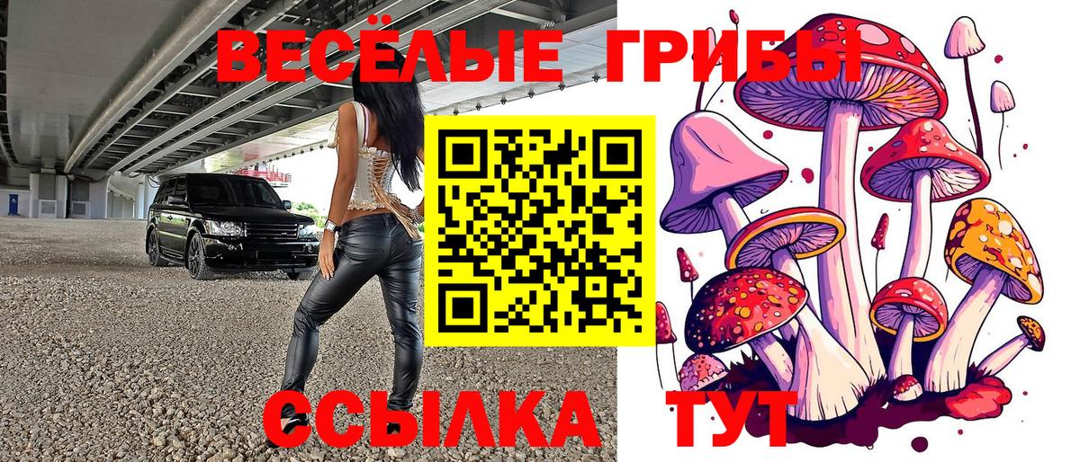 Гулькевичи  Галлюциногенные грибы мухоморы  Вход с VPN 
