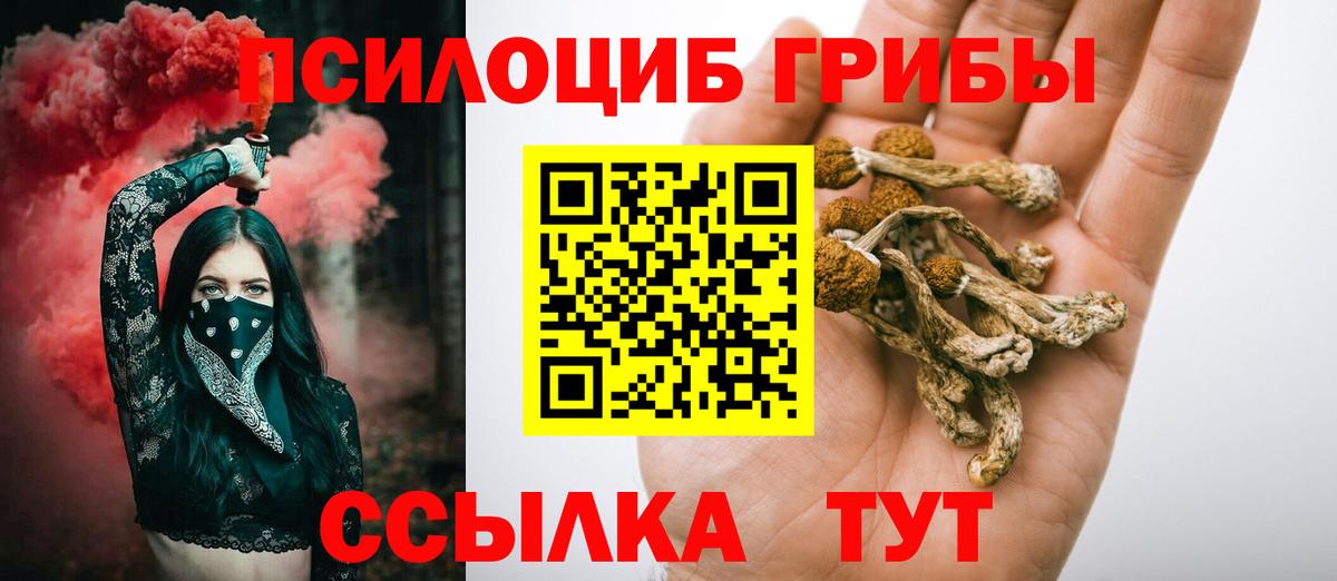 Псилоцибиновые грибы Magic Shrooms Гулькевичи